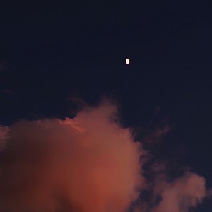 Beautiful.