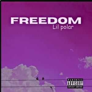 Freedom slowed (Slowed and reverb) [Explicit]