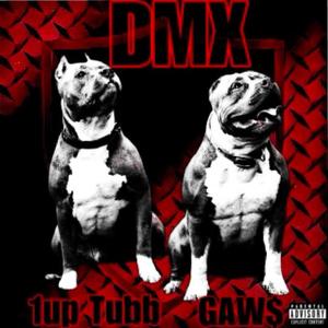 DMX (feat. Gaw$) [Explicit]