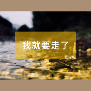 明天我就要走了