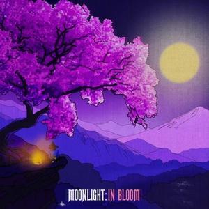 In Bloom (Explicit)