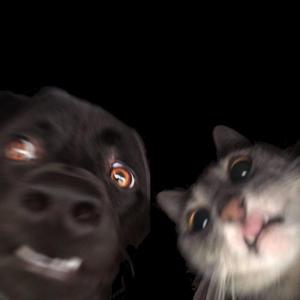 #IGOTTHEWORK (Explicit)