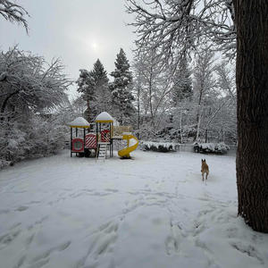 Watching (feat. Luvdosi) (Explicit)