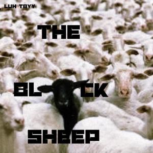 the black sheep (Explicit)