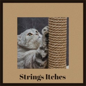 Strings Itches