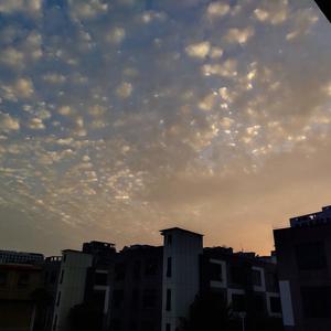 遗失的心跳 (DJ版)