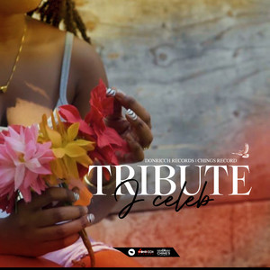 Tribute (Explicit)