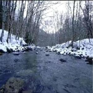 it makes me wanna die