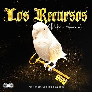 Los Recursos (Explicit)