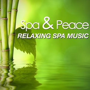 Spa & Peace Music: Extremely Relaxing Vibes with New Age Sound Effects to Soothe and to Relax you at a Wellness Center, Spa or Swimming Pool with Rain, Wind, Sea and Water Stream Sounds