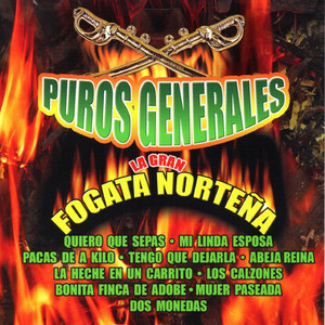 Puros Generales