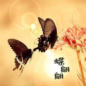 蝶翩翩