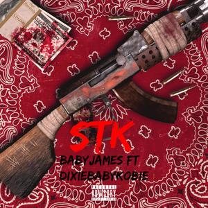 STK (feat. DixieBabyKobie) [Explicit]