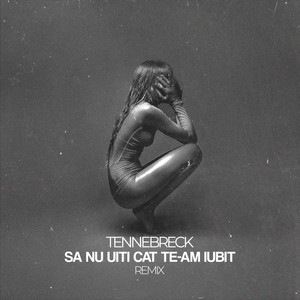 Să nu uiți cât te-am iubit (Remix)