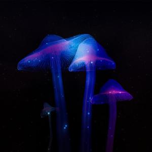 Bioluminescence