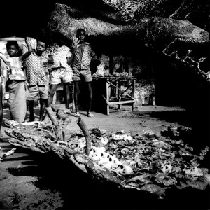 Tribal War (Stenny Remix)