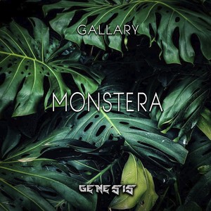 Monstera