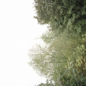 Epochal Reminiscence