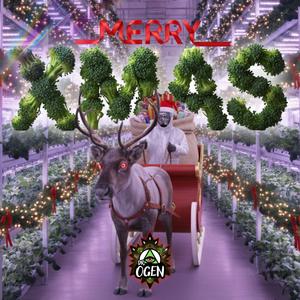 Merry Xmas (Radio Edit)