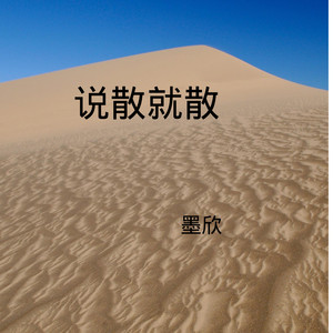 说好不哭 (DJ版)