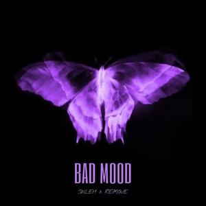 Bad Mood (Explicit)