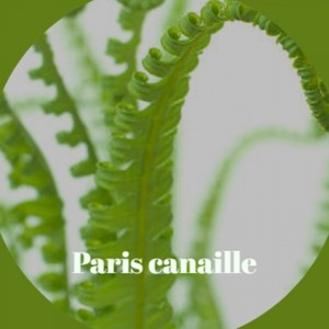 Paris canaille