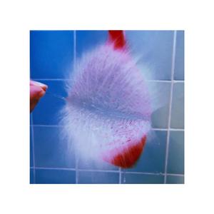 O. (feat. Hunter Hadley)