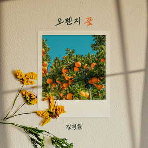 오렌지 꽃 (Orange Flower)