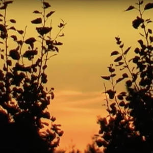 Ruhrpott Sunset (feat. Michael Nightmare & Flocke 84) (Explicit)