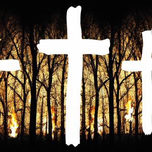 Forest of Crosses