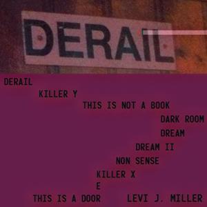 Levi J. Miller - This Is A Door