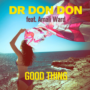 Good Thing(feat. Amali Ward) (Punk Ninja Mix)
