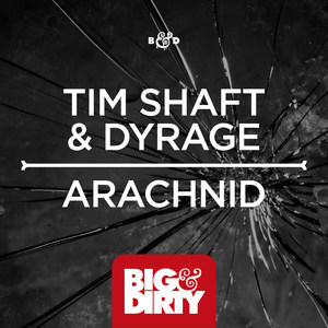 Arachnid (Original Mix)