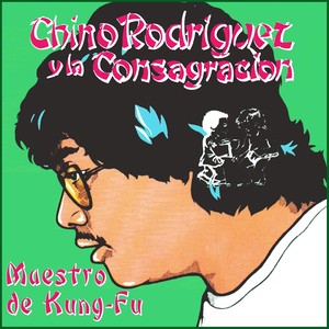 Maestro de Kung Fu