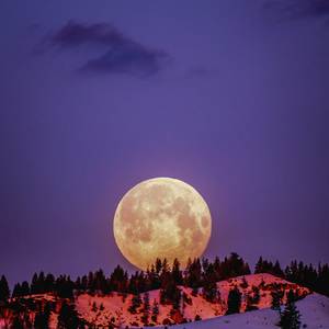 Man on da Moon (Explicit)