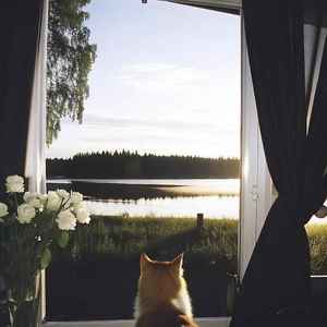 陈陈Leah - 只对你有感觉 (DJ对唱版)