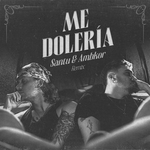 Me Dolería (Remix)