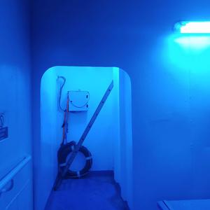 **** EM. (feat. NorriLuvsU) (Explicit)