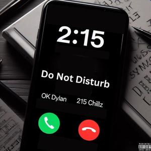 Do Not Disturb (feat. 215Chillz) [Explicit]