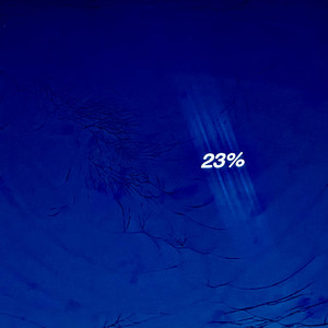 23%