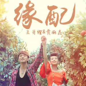 夫妻双双把家还，缘配