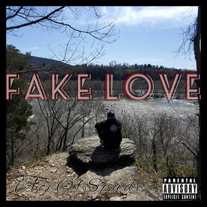 Fake Love (Explicit)
