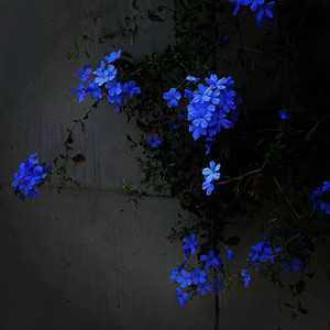 tomorrowxtogether-万幸得以相识