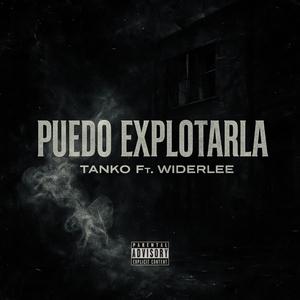 Puedo Explotarla (feat. Widerlee) (Explicit)