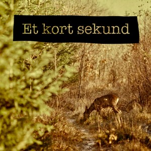 Et Kort Sekund