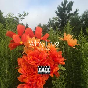 Why Live (Explicit)