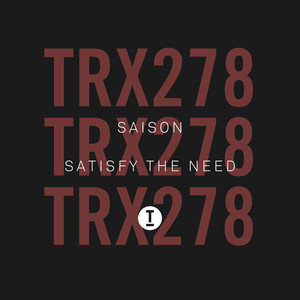 Satisfy The Need (Extended Mix)