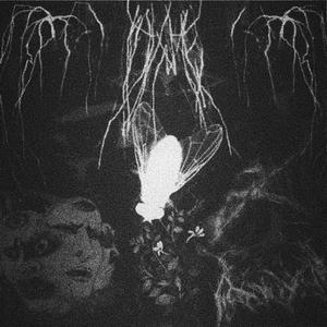 Sinek(feat. RABOKAMI) (Explicit)