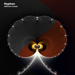 Contemplative Vortex