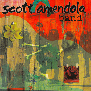 Scott Amendola Band